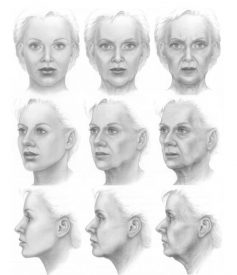 Buitenshuis Pellen binnenkomst Verouderingsproces gezicht - anatomische onderbouwing – Dokter Frodo
